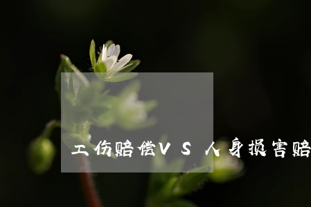 赔偿工伤支付标准_赔偿工伤支付时间规定_工伤赔偿由谁支付