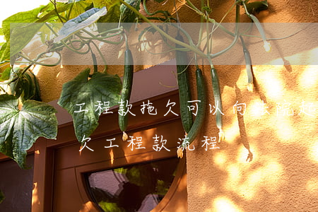 工程款官司打赢多久付款_工程款打官司胜率_工程款打官司赢了