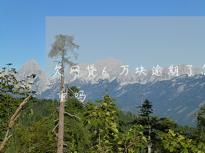 分期支付_分期付款是一个月付一次吗_为什么分期付款还要付全部金额