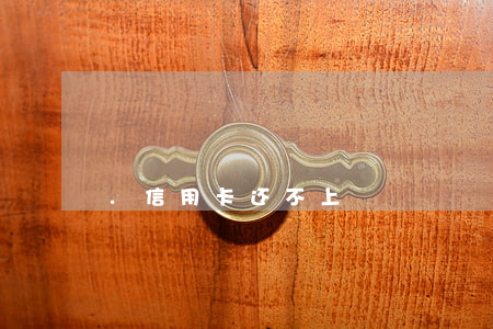 .信用卡还不上