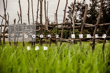 00852說我信用卡逾期(有電話說我信用卡逾期)