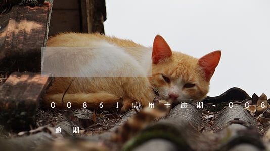 00861信用卡逾期-00861信用卡逾期