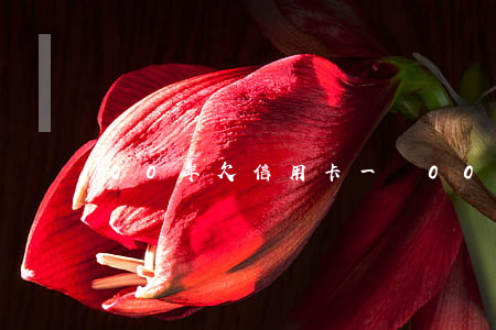 00年欠信用卡一萬 00年欠信用卡一萬