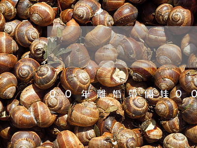 00年離婚帶倆娃(00年離婚帶倆娃)