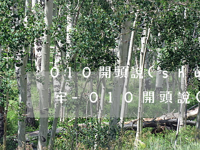 010開頭說(shuō)我信用卡逾期坐牢-010開頭說(shuō)我信用卡逾期坐牢是真的嗎