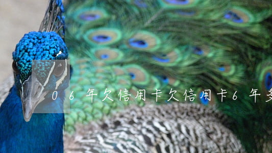 06年欠信用卡(欠信用卡6年多怎么處理)