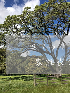 0731是哪个网贷催收(0731开头是哪家催收公司的)