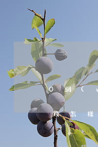 0網(wǎng)貸欠了幾萬(wàn)塊錢怎樣才能上岸-0網(wǎng)貸欠了幾萬(wàn)塊錢怎樣才能上岸呢