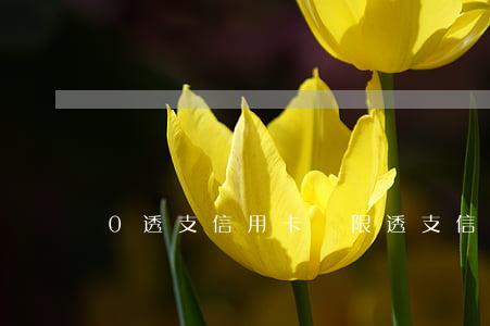 0透支信用卡，無限透支信用卡
