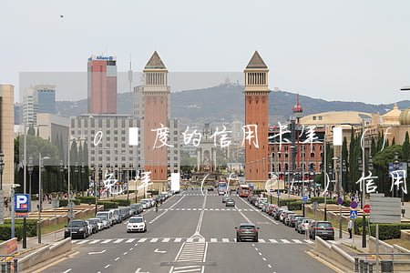 0額度的信用卡年費(fèi)逾期(0額度免年費(fèi)信用卡害死我了)
