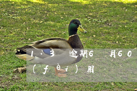 1.3萬逾期6個月(6000逾期一個月費(fèi)用)