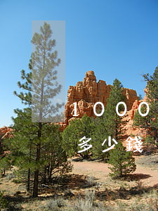 10000元合同糾紛請(qǐng)律師多少錢