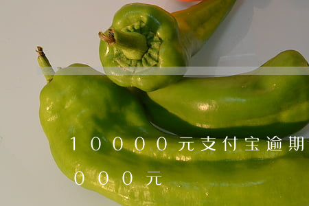 10000元支付宝逾期利息(支付宝逾期2000元)
