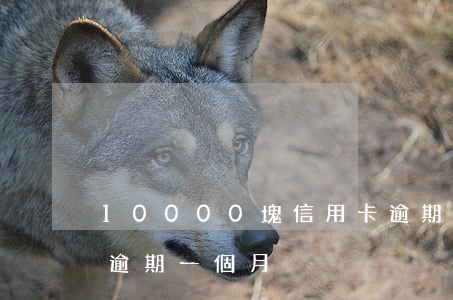 10000塊信用卡逾期(信用卡1000塊逾期一個月)