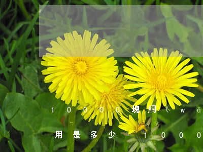 10000塊網(wǎng)貸案子律師費用是多少-10000塊網(wǎng)貸案子律師費用是多少錢