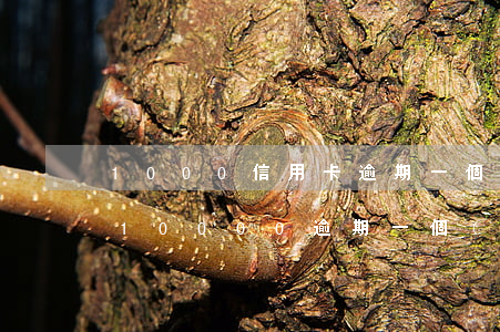 1000信用卡逾期一個(gè)月(信用卡10000逾期一個(gè)月要多少錢)