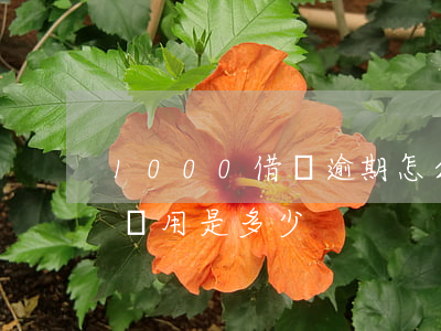 1000借唄逾期怎么算(借唄5000逾期費用是多少)