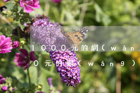 1000元的網(wǎng)貸逾期(1000元的網(wǎng)貸逾期)