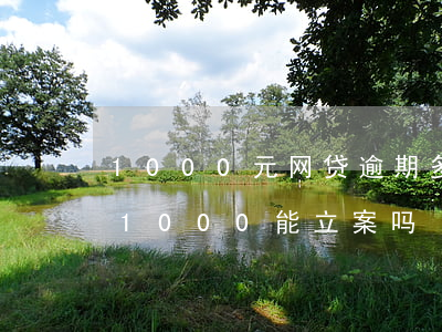 1000元网贷逾期多久会被起诉(网贷逾期1000能立案吗?)