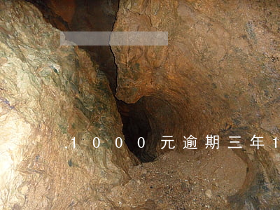 1000元逾期三年 1000塊錢逾期兩年