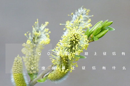 1000塊逾期上征信有什么后果-1000塊逾期上征信有什么后果嗎