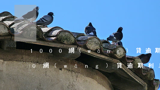 1000網(wǎng)貸逾期利息(1000網(wǎng)貸逾期利息)