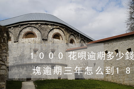1000花唄逾期多少錢(欠了花唄1000塊逾期三年怎么到1800)