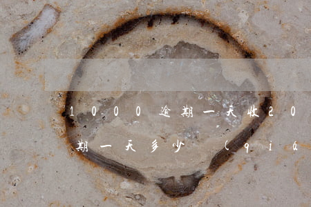 1000逾期一天收200(10000元逾期一天多少錢(qián))