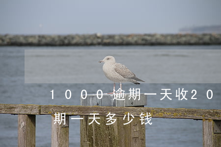 1000逾期一天收200(10000元逾期一天多少钱)