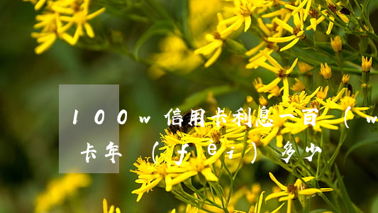 100w信用卡利息(一百萬(wàn)信用卡年費(fèi)多少)