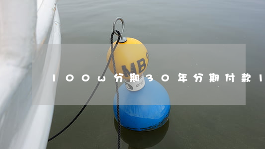 100w分期30年（分期付款100万免息）
