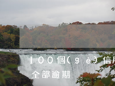 100個(gè)信用卡逾期(10張信用卡全部逾期)