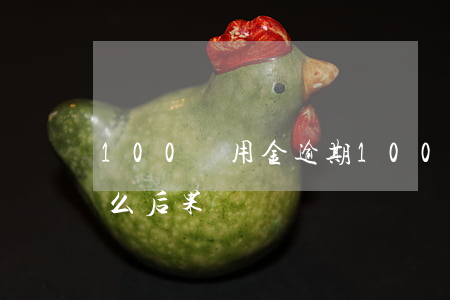 100備用金逾期 100備用金逾期會有什么后果