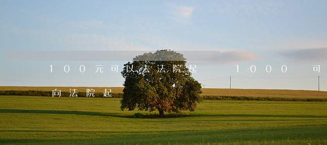 100元可以去法院起訴嗎(1000塊可以向法院起訴)