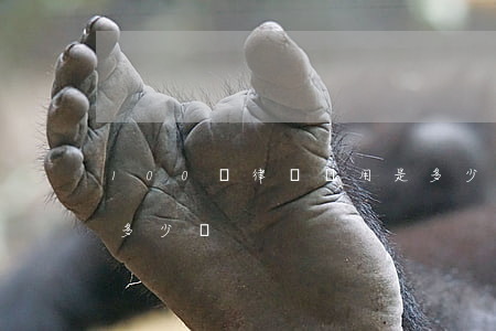 100萬律師費用是多少(100萬元律師費多少錢)
