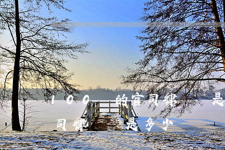 100萬的官司律師費是多少(100萬的官司律師費是多少)