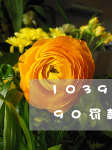 1039违章代码罚款多少(违章代码10390罚款金额)