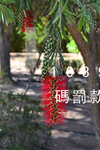1039違章代碼罰款多少(1039違章代碼罰款多少錢)
