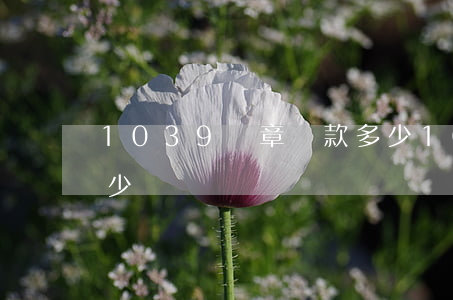1039違章罰款多少(10394違章罰多少錢)