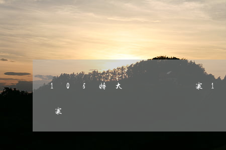 105特大開設賭場案(105特大開設賭場案)