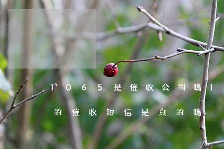 1065是催收公司嗎(1068發(fā)的催收短信是真的嗎)