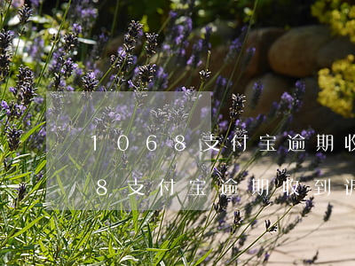 1068支付宝逾期收到诉前通知-1068支付宝逾期收到诉前通知还有客服电话