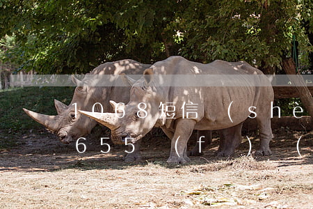 1068短信設(shè)置逾期彩鈴(10655發(fā)來(lái)逾期短信)