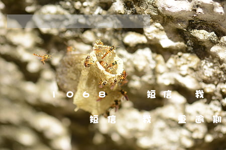 1068開頭短信說我嚴重逾期-1068開頭短信說我嚴重逾期征信上黑名單了