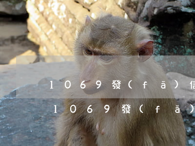 1069發(fā)信息說信用卡貸逾期-1069發(fā)信息說信用卡貸逾期要執(zhí)行子女不可以去重點學(xué)校