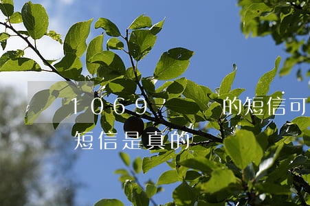 1069發過來的短信可信嗎(1069發的短信是真的嗎)