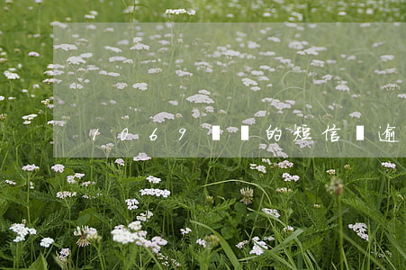 1069開頭的短信說逾期