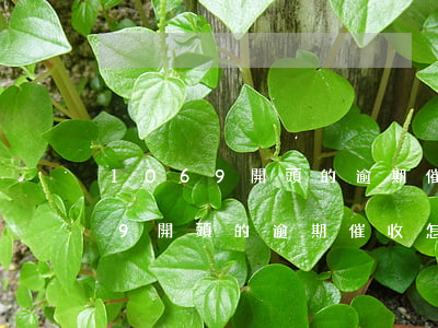 1069開頭的逾期催收怎么取消-1069開頭的逾期催收怎么取消掉