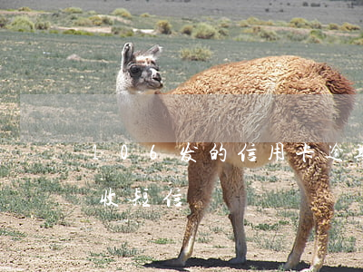 106发的信用卡逾期短信(1068逾期催收短信)