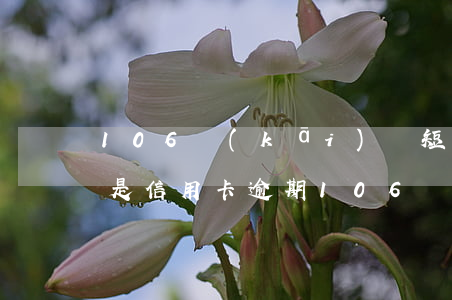 106開(kāi)頭短信說(shuō)是信用卡逾期(106開(kāi)頭短信說(shuō)是信用卡逾期怎么回事)